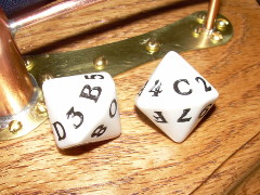 two 16-sided dice